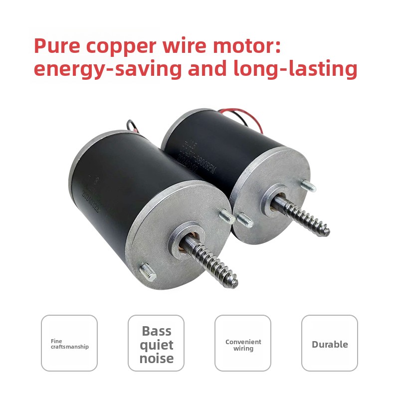 Langlebiger 24V 48V Motor für  – Crane Claw Motor Bewertung und Preis